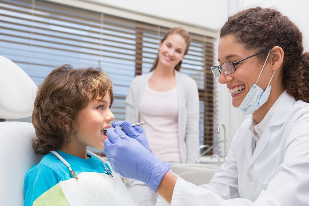 In Pursuit of Dental Care Excellence: How to Find the Best Family Dentist